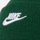 Gyerek téli sapka NIKE SAPKA TÉLI U NSW BEANIE UTILITY FUTURA dj6224-341 szín: zöld