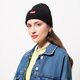 Gyerek téli sapka LEVI'S SAPKA RED BATWING EMBROIDERED BEANIE 38022-0182 szín: fekete