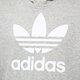 Gyerek pulóver ADIDAS PULÓVER KAPUCNIS TREFOIL HOODIE BOY ge1979 szín: szürke