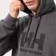 Férfi pulóver HELLY HANSEN PULÓVER KAPUCNIS HH LOGO HOODIE 33977981 szín: szürke