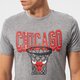 Férfi póló NEW ERA PÓLÓ TEE BULLS GRH 13051081 szín: szürke