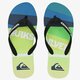 Férfi papucsok és szandálok QUIKSILVER MOLOKAISLASHLOG aqyl100408xkgb szín: multicolor