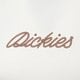 Női póló DICKIES TANK DICKIES ROPE SS TEE W dk0a4z8mk471 szín: barna