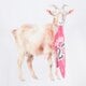 Gyerek póló JORDAN PÓLÓ JDB MJ FLT GOAT SS CREW BOY 95f314-001 szín: fehér
