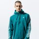 Férfi pulóver ADIDAS PULÓVER 3-STRIPES HZ ek0254 szín: zöld