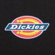 Női póló DICKIES PÓLÓ MAPLE VALLEY TEE dk0a4xpoblk1 szín: fekete