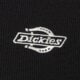 Női póló DICKIES PÓLÓ GLADEVILLE TEE LS W dk0a87qablk1 szín: fekete