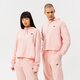 Női pulóver NEW BALANCE PULÓVER KAPUCNIS NB ESSENTIALS UNI-SSENTIALS CRO ut21502pie szín: rózsaszín