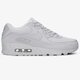 Férfi sportcipők NIKE AIR MAX 90 ESSENTIAL  537384068 szín: szürke
