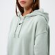 Női pulóver NIKE PULÓVER KAPUCNIS W NSW ESSNTL CLCTN FLC OS HD dj7668-017 szín: zöld