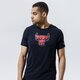 Férfi póló NIKE PÓLÓ CHICAGO BULLS TEE EARNED EDITION ERND LGO NBA cz7245-010 szín: fekete