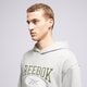 Férfi pulóver REEBOK PULÓVER KAPUCNIS CL AE HOODIE 100036875 szín: szürke