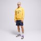 Férfi pulóver NEW BALANCE PULÓVER KAPUCNIS NB SPORT mt31901vgl szín: sárga