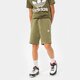 Gyerek sortok és ruhák ADIDAS RÖVIDNADRÁG BOY hd2063 szín: khaki