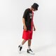 Férfi rövidnadrágok NEW ERA RÖVIDNADRÁG WASHED LOGO BULLS CHICAGO BULLS FDR 13083852 szín: piros