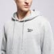 Férfi pulóver REEBOK PULÓVER KAPUCNIS NOAH SMALL LOGO 100240569 szín: szürke
