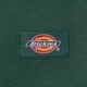 Női pulóver DICKIES  PULÓVER CIPZÁRAS OAKPORT ZIP HOODIE dk0a4y1zpin1 szín: zöld