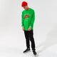 Férfi pulóver NIKE PULÓVER M NSW TREND FT CREW dd6165-362 szín: zöld