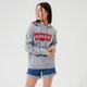 Női pulóver LEVI'S PULÓVER KAPUCNIS GRAPHIC STANDARD HOODIE 18487-0020 szín: szürke