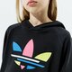 Gyerek pulóver ADIDAS PULÓVER KAPUCNIS HOODIE GIRL h32388 szín: fekete