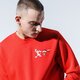 Férfi pulóver REEBOK PULÓVER TJ CREW 3 gk9157 szín: piros