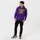 Férfi pulóver NIKE PULÓVER KAPUCNIS LAL M NK DF SPOTLIGHT PO HD NBA db0904-504 szín: lila