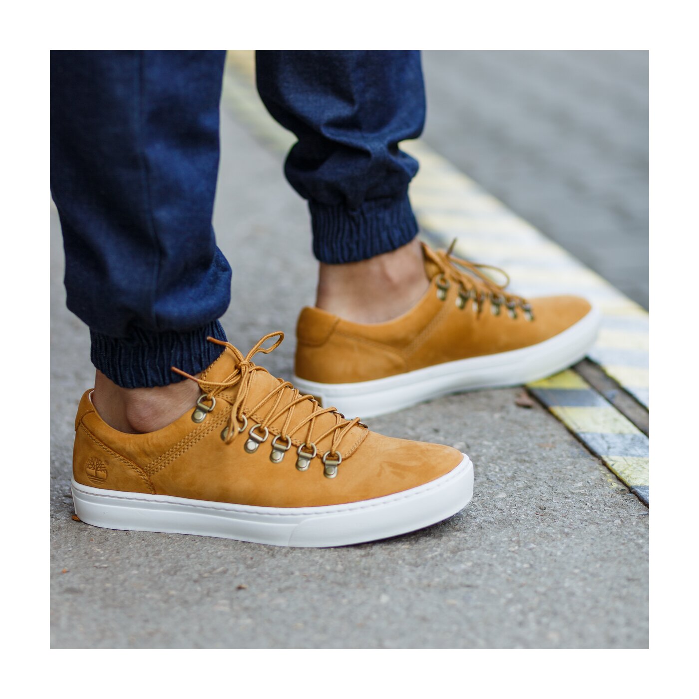 timberland adventure 20 cupsole alpine oxford