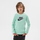Gyerek pulóver NIKE PULÓVER NIKE SPORTSWEAR CLUB FLEECE BOY cv9297-379 szín: zöld
