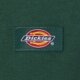 Női póló DICKIES PÓLÓ OAKPORT BOXY SS TEE dk0a4y8lpin1 szín: zöld
