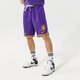 Férfi rövidnadrágok NIKE RÖVIDNADRÁG LAL M NK DF DNA SHORT TEAM NBA dh9175-504 szín: lila