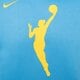 Férfi pulóver NIKE PULÓVER KAPUCNIS WNBA M NK PO FLC ESSNTL W13 NBA dr9596-462 szín: kék