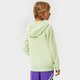 Gyerek pulóver ADIDAS PULÓVER KAPUCNIS HOODIE BOY hf7436 szín: zöld