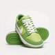 Férfi sportcipők NIKE DUNK LOW RETRO dj6188-300 szín: zöld