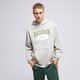 Férfi pulóver REEBOK PULÓVER KAPUCNIS CL AE HOODIE 100036875 szín: szürke