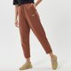 Női nadrágok NIKE NADRÁG W NSW ESSNTL FLC MR PNT CLCTN dd5636-256 szín: bézs