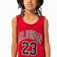 Gyerek sortok és ruhák JORDAN NŐI RUHA HBR JORDAN JERSEY MELEGÍTŐS GIRL 45b320-r78 szín: piros