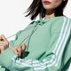 Női pulóver ADIDAS PULÓVER CROPPED HOODIE MNT dh3131 szín: zöld