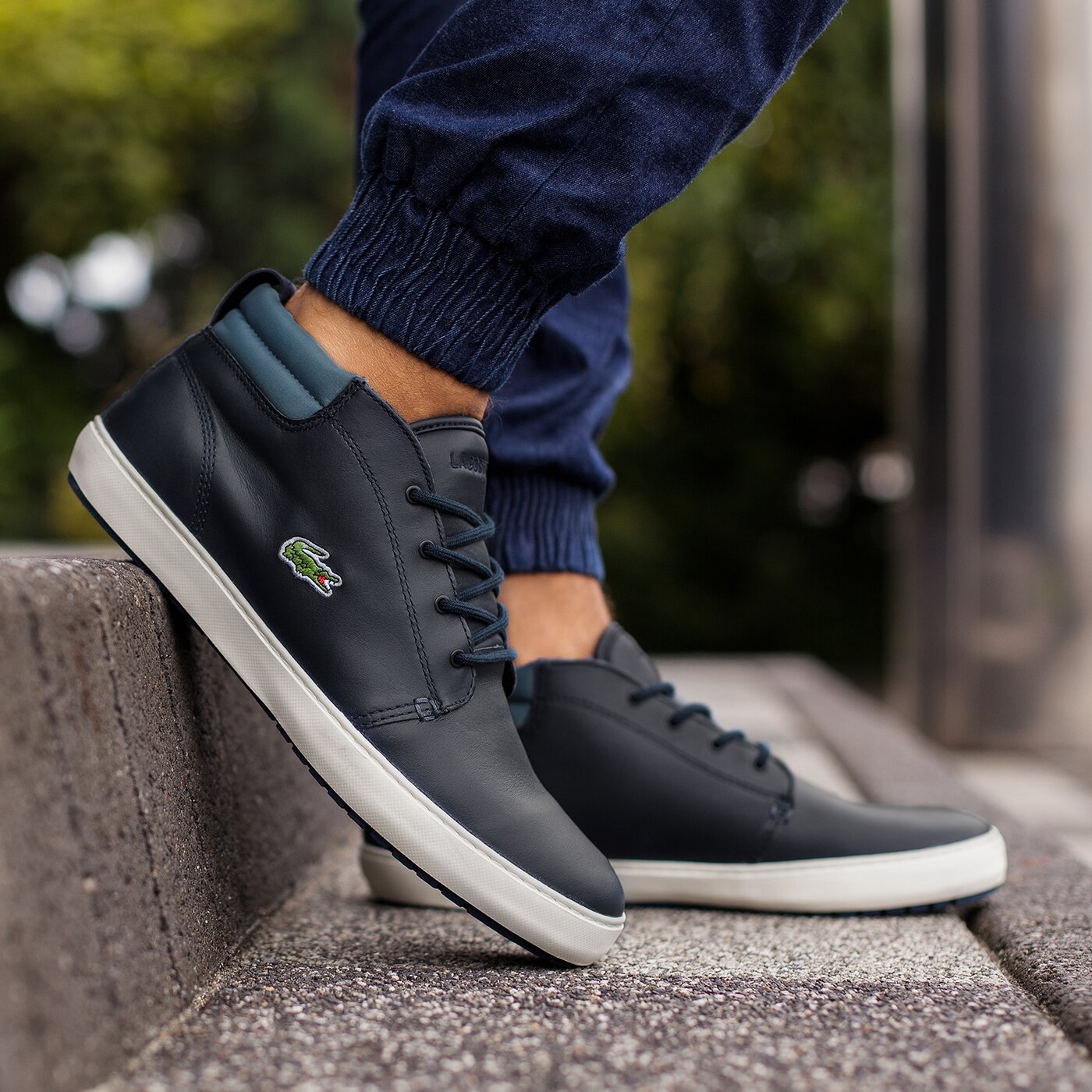 ampthill terra lacoste