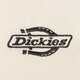 Női télikabát DICKIES KABÁT PEHELY SUMMERDALE PUFFER W dk0a87ojl171 szín: bézs