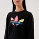 Női pulóver ADIDAS PULÓVER SWEATSHIRT h22854 szín: fekete