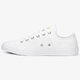 Női tornacipők CONVERSE CHUCK TAYLOR ALL STAR  170823c szín: multicolor