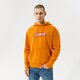 Férfi pulóver LEVI'S PULÓVER KAPUCNIS T3 RELAXD GRAPHIC HOODIE 38821-0116 szín: barna
