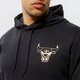 Férfi pulóver NEW ERA PULÓVER KAPUCNIS METALLIC HOODY BULLS CHICAGO BULLS 12590872 szín: fekete