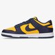 Férfi sportcipők NIKE DUNK LOW RETRO dd1391-700 szín: sárga