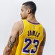 Férfi póló JORDAN TANK LAKERS JAMES SWINGMAN ICON 2020 NBA cw3669-734 szín: sárga