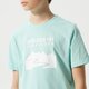 Gyerek póló ADIDAS PÓLÓ TEE BOY he2059 szín: kék