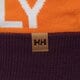 Gyerek téli sapka HELLY HANSEN SAPKA RIDGELINE BEANIE 67150670 szín: lila