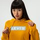 Női pulóver LEVI'S PULÓVER KAPUCNIS GRAPHIC STANDARD HOODIE 18487-0114 szín: mustársárga
