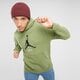 Férfi pulóver JORDAN PULÓVER KAPUCNIS M J ESS GFX PO HOODIE fd7545-340 szín: zöld