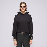CHAMPION PULÓVER KAPUCNIS HOODED MINIMALIST RESORT